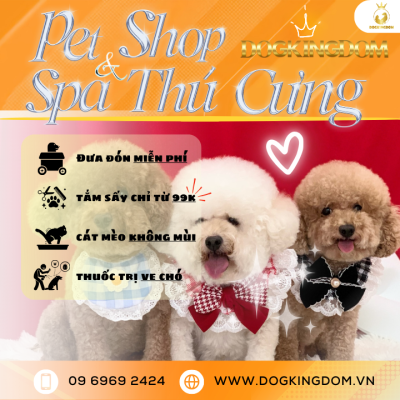 Pet shop&Spa thú cưng Dogkingdom chuyên: cắt tỉa lông chó và thức ăn cho chó